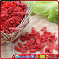 Goji Beere Emagrece Goji Büsche Goji Beeren Vitamin c